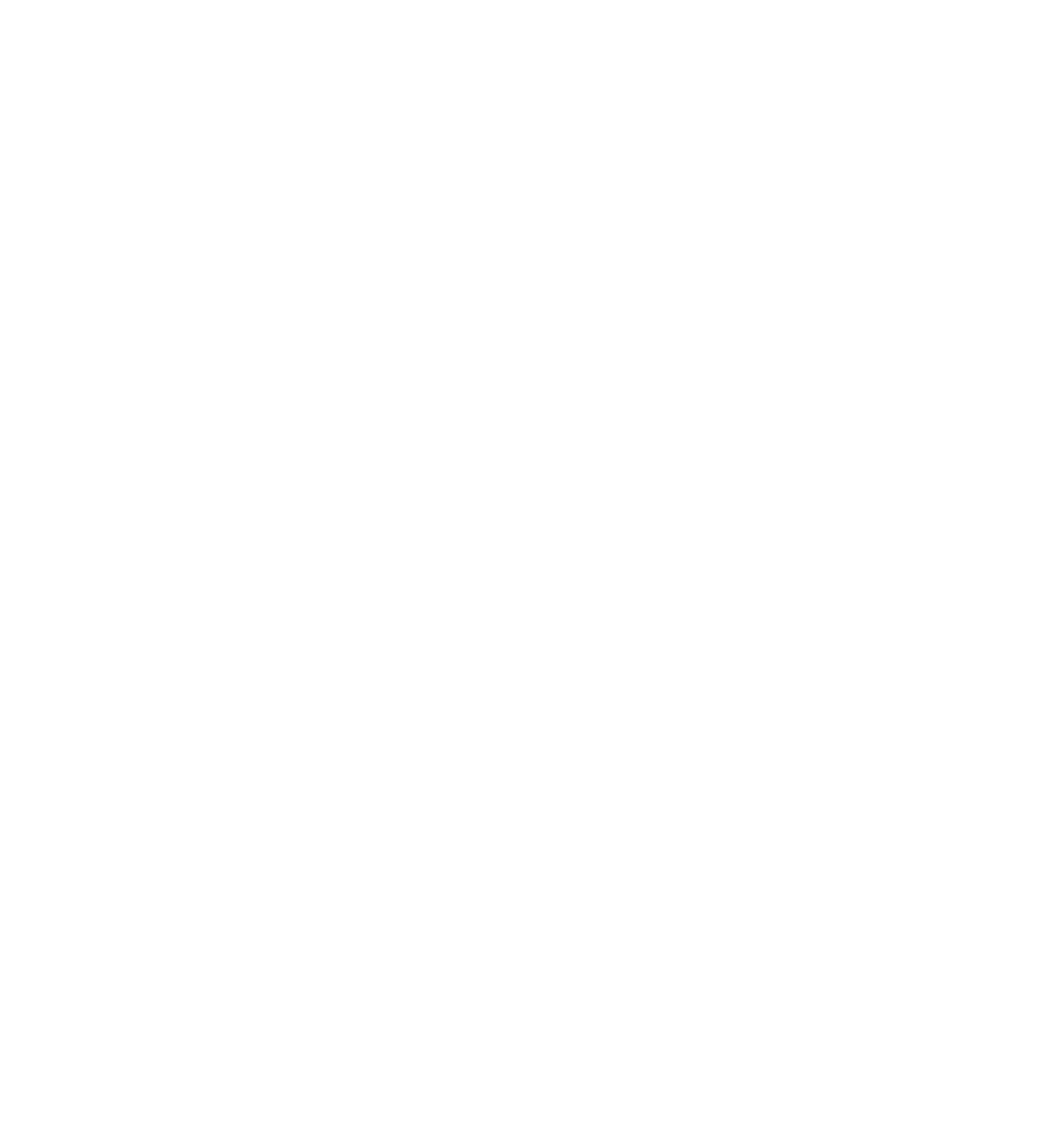 Peak Company Logo